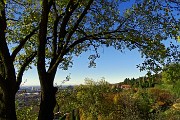 Da Mapello al Monte Canto sul sentiero 891 il 22 novembre 2015 - FOTOGALLERY